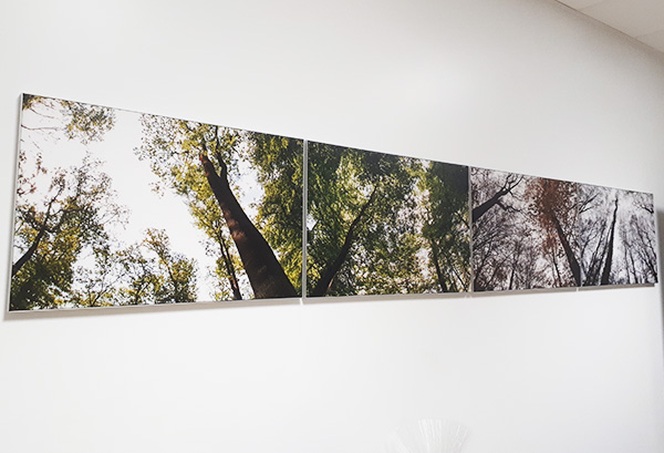 Art and Canvas Printing